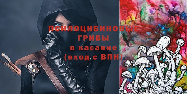 шишки Кинешма